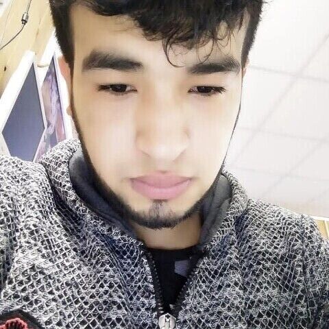 ���� 40394177 ������� �ziz, 28 ���, ���� ���������� � ������