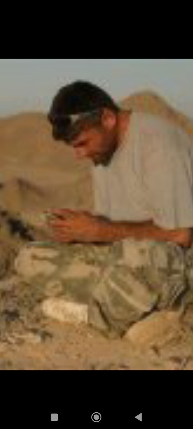 ���� 53845877 ������� �������, 99 ���, ���� ���������� � ������