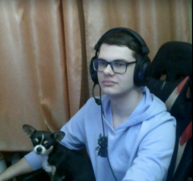  49811577  , 19 ,    -