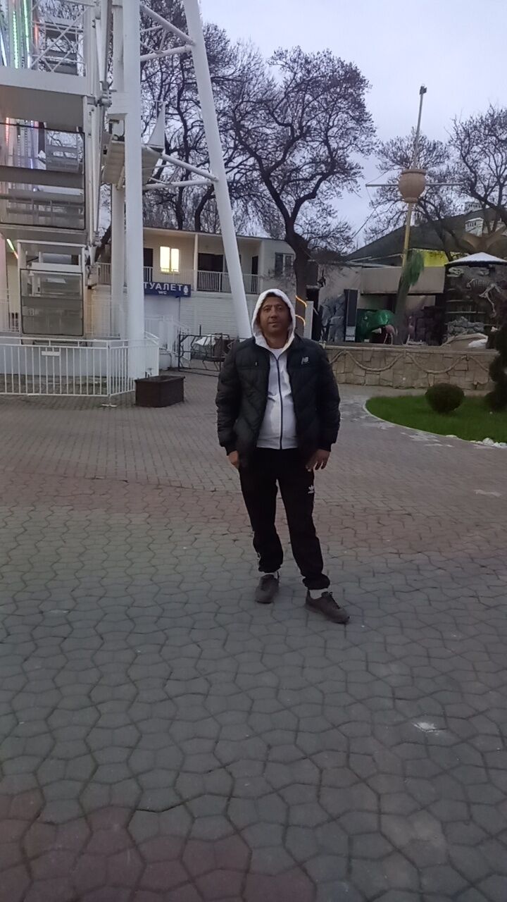  33498687  , 43 ,    