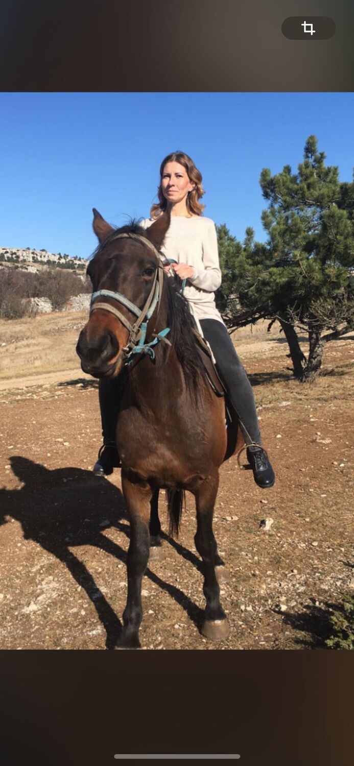 ���� 46387497 ������� �����, 36 ���, ���� ���������� � ������