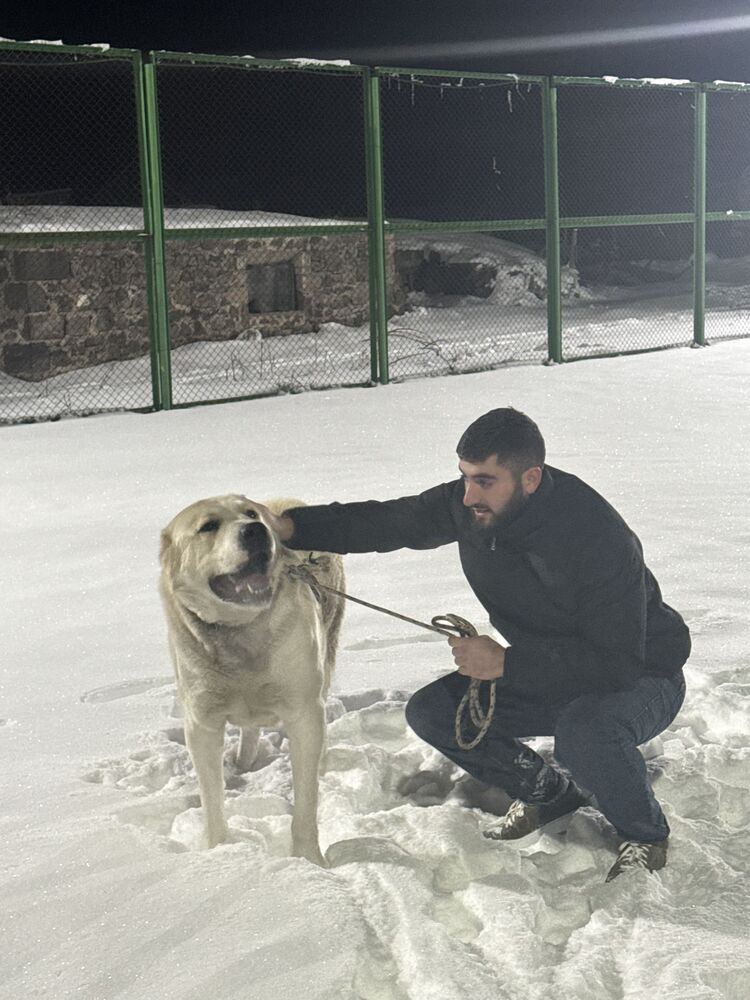 ���� 55260297 ����� David, 21 ���, ���� ���������� � ������