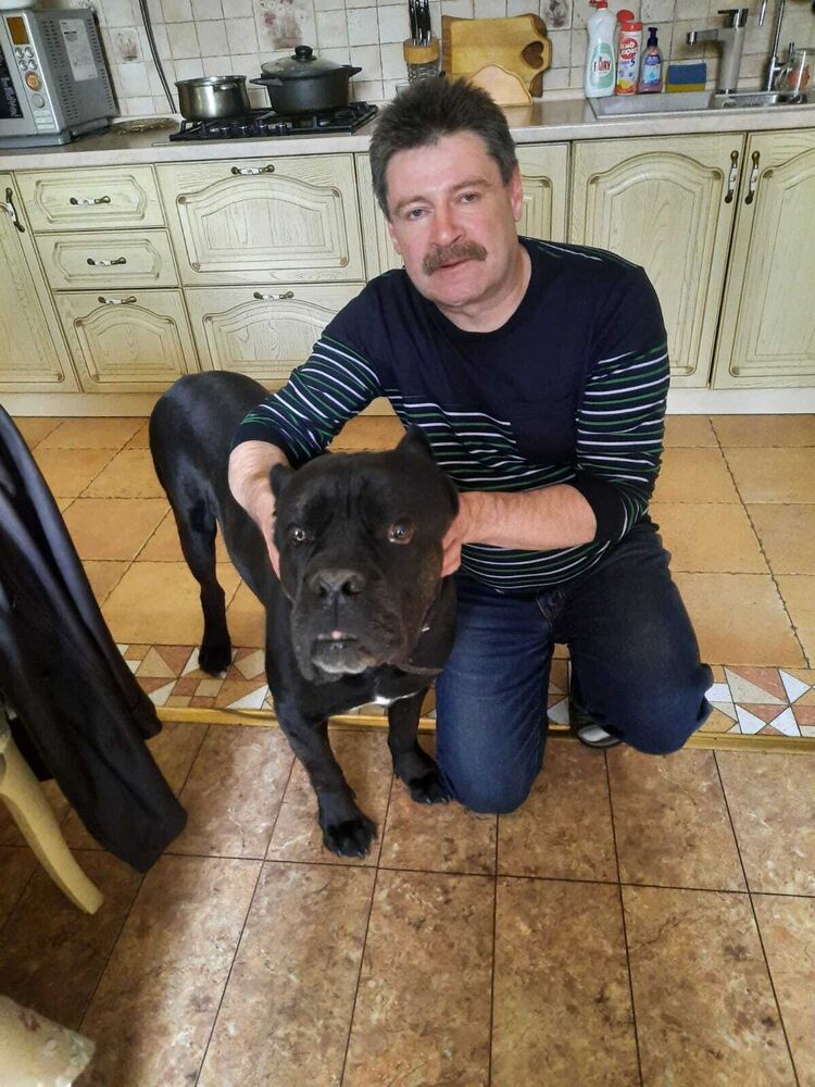 ���� 25032417 ������� �����, 62 ����, ���� ���������� � ������