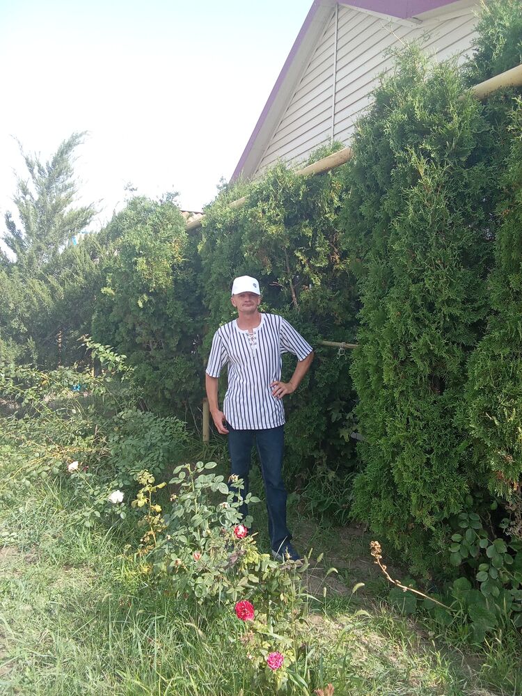 ���� 54783617 ������� �������, 43 ����, ���� ���������� � ����������