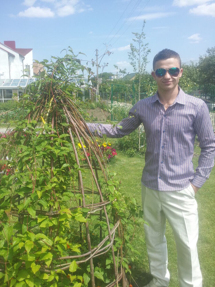 ���������� �����, ���� ������� Brus, 31 ���, ������������ ��� ������, ����� � ���������, c�������� ���������