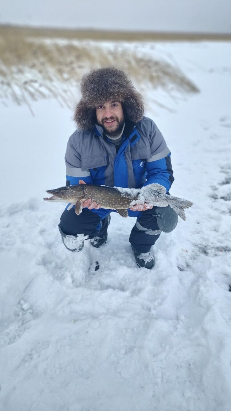  31836527  EIchin, 32 ,    -