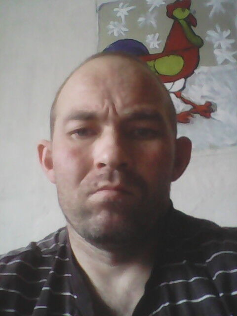 ���� 17771637 ������� ������, 41 ���, ���� ���������� � ��������