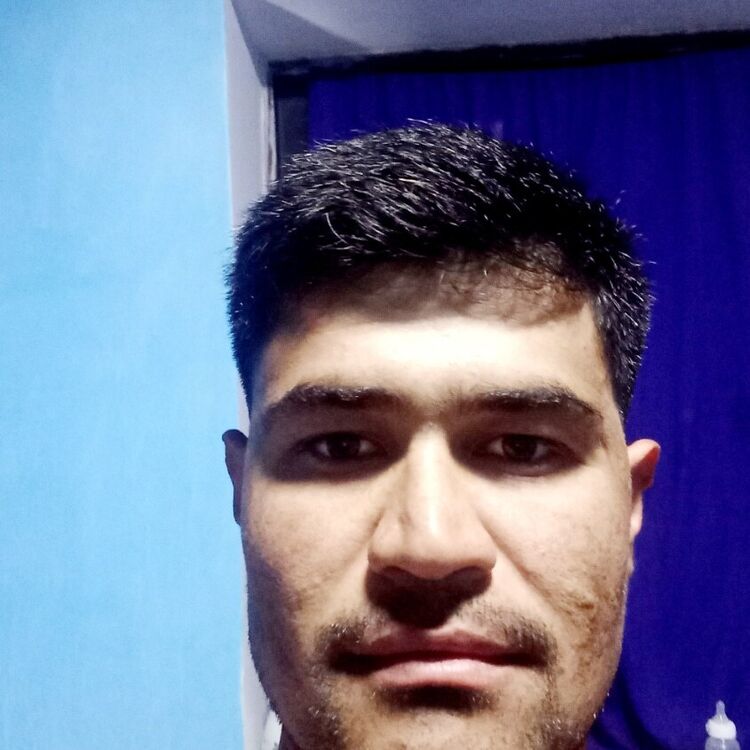 ���� 40879487 ������� ������, 31 ���, ���� ���������� � ��������