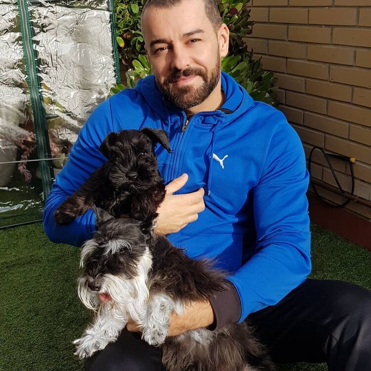 ���� 54971947 ������� ��������, 39 ���, ���� ���������� � �����