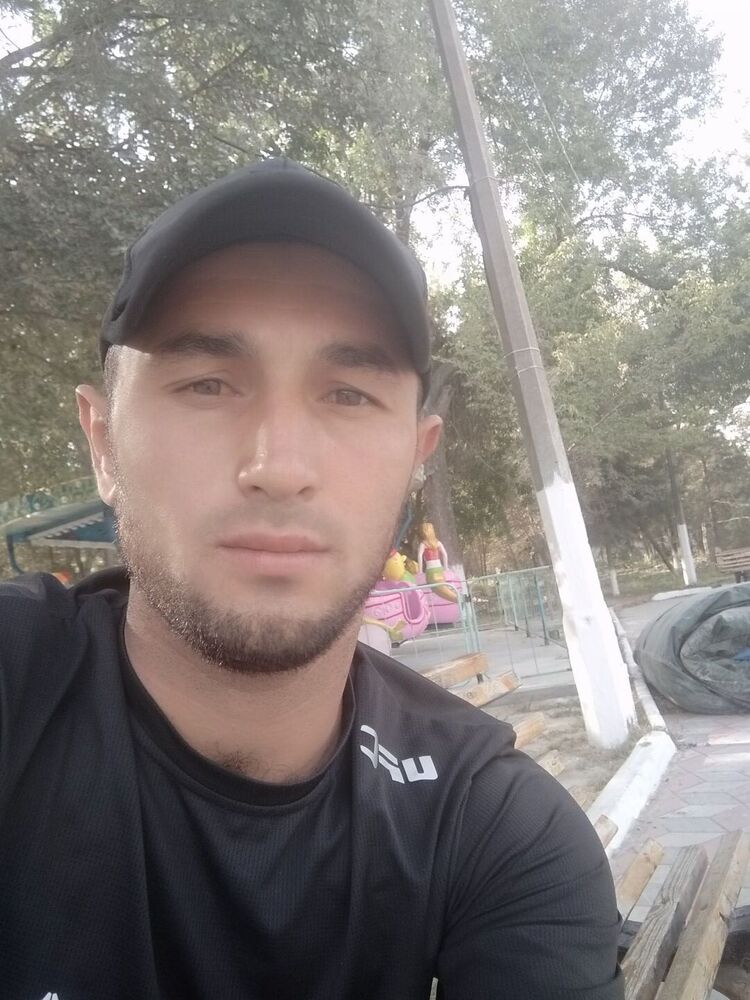 24026837  , 31 ,    