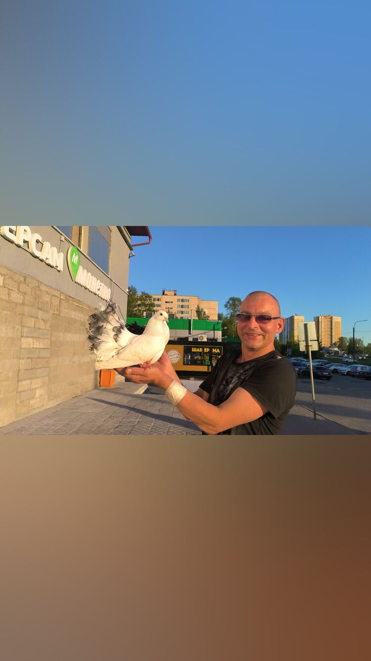 ���������� �����-���������, ���� ������� �������, 46 ���, ������������ ��� ������, ����� � ���������