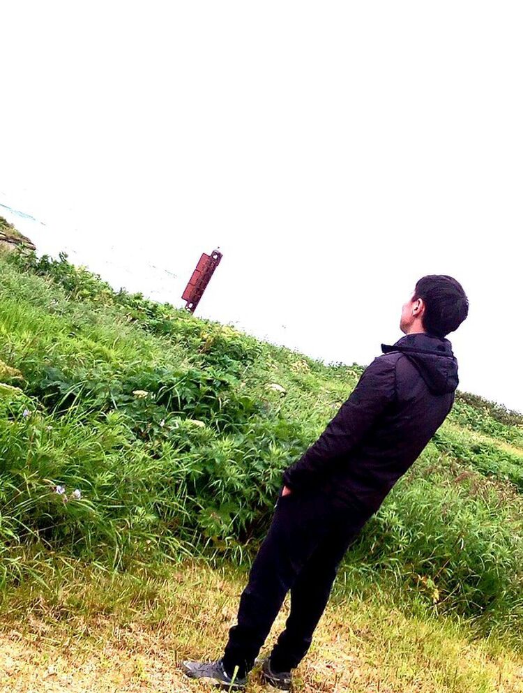  51384687  , 30 ,    -