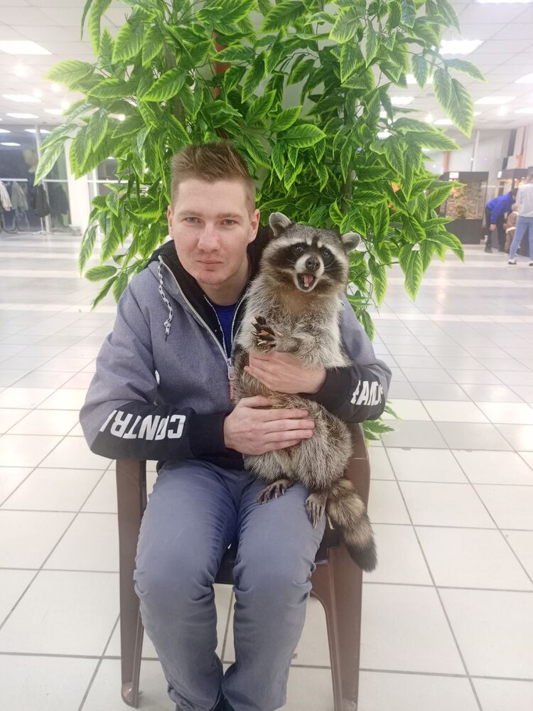 ���� 54843057 ������� �������, 29 ���, ���� ���������� � �������������