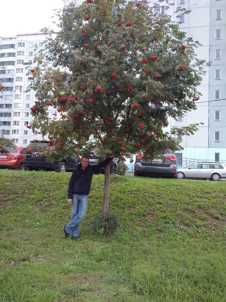 ���������� ������, ���� ������� ������, 47 ���, ������������ 