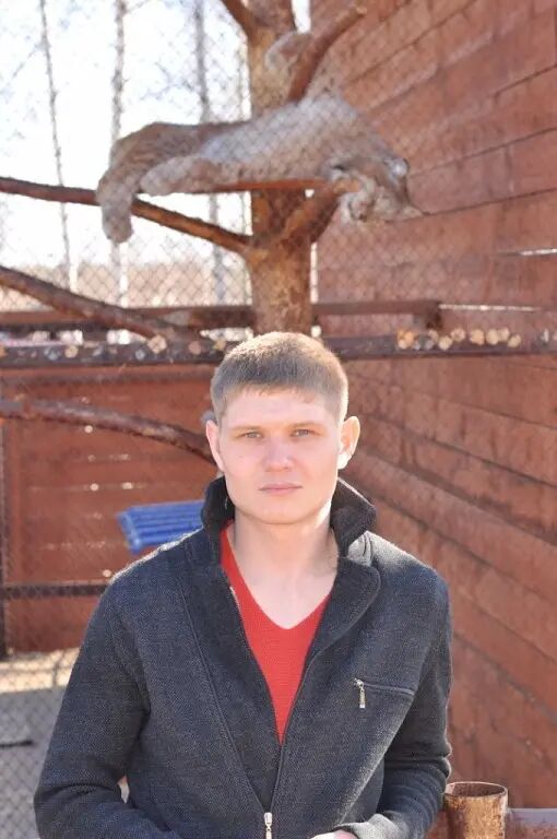 ���������� ������������, ���� ������� ��������, 36 ���, ������������ ��� ������, ����� � ���������, c�������� ���������, ���������