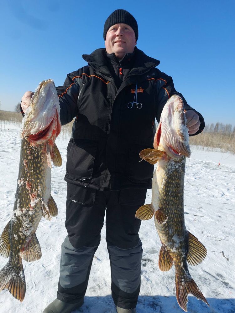 ���� 50325917 ������� ����, 35 ���, ���� ���������� � ������