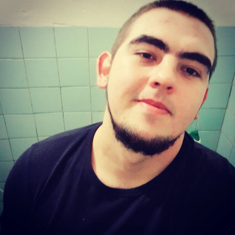  29644157  , 33 ,    