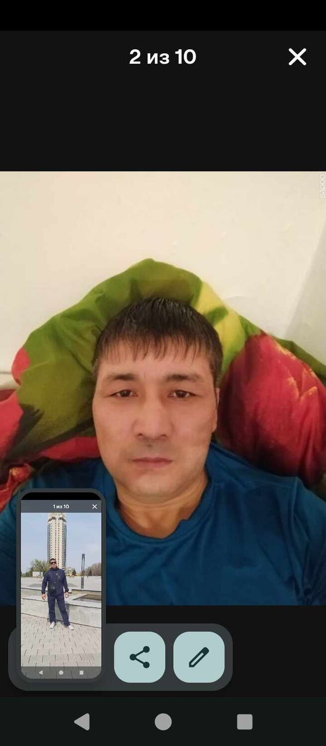  49827347  , 44 ,    