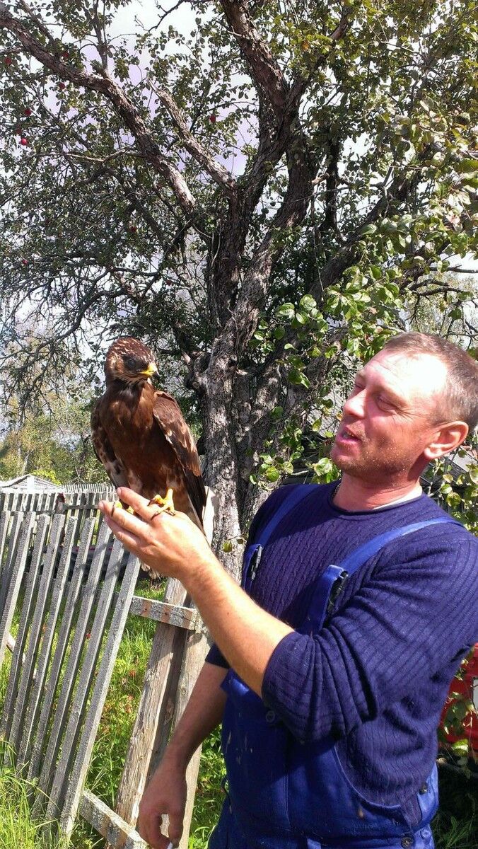 ���� 19012417 ������� ���������, 51 ���, ���� ���������� � ������