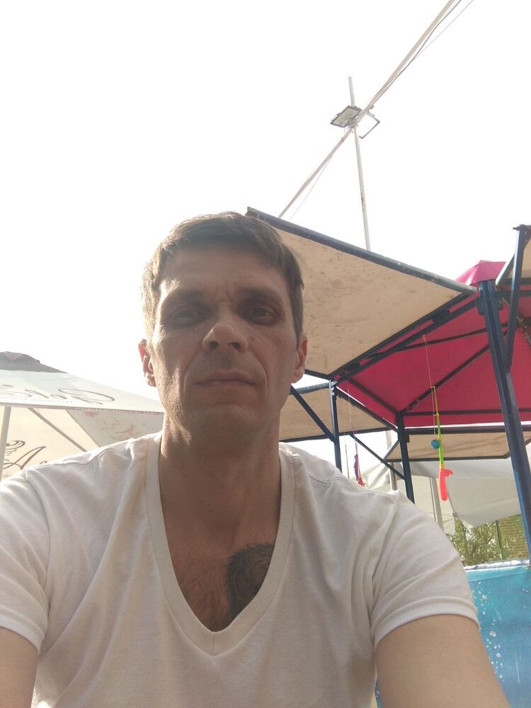 45396947  , 46 ,    