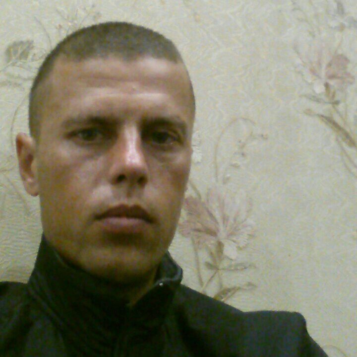  29798307  , 31 ,    