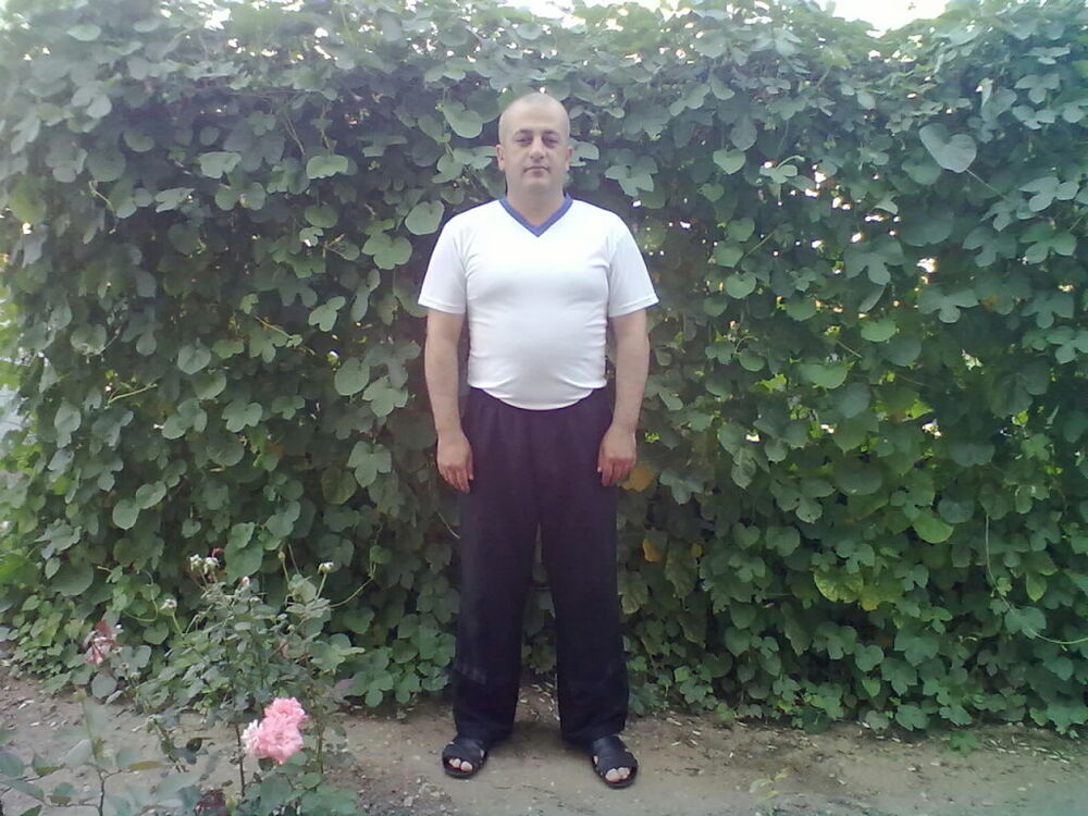  26259947  , 48 ,    