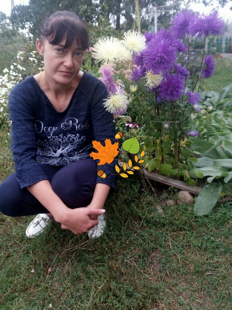 ���������� �����, ���� ������� ����, 42 ����, ������������ ��� ������, ����� � ���������