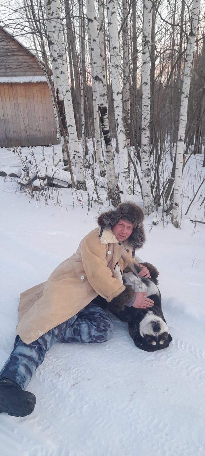 ���������� ���������, ���� ������� ������, 40 ���, ������������ ��� ������, ����� � ���������