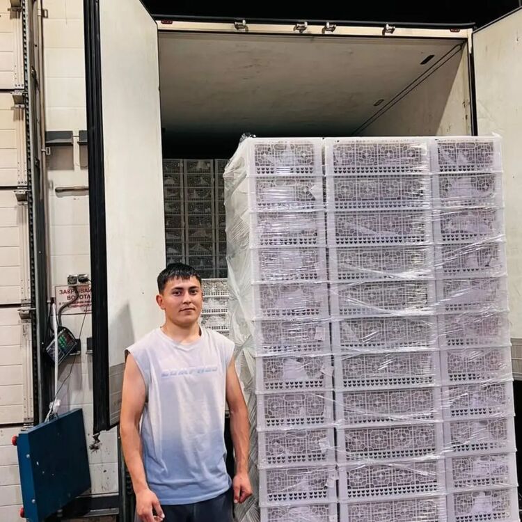 ���� 56268447 ����� ����, 22 ����, ���� ���������� � ������