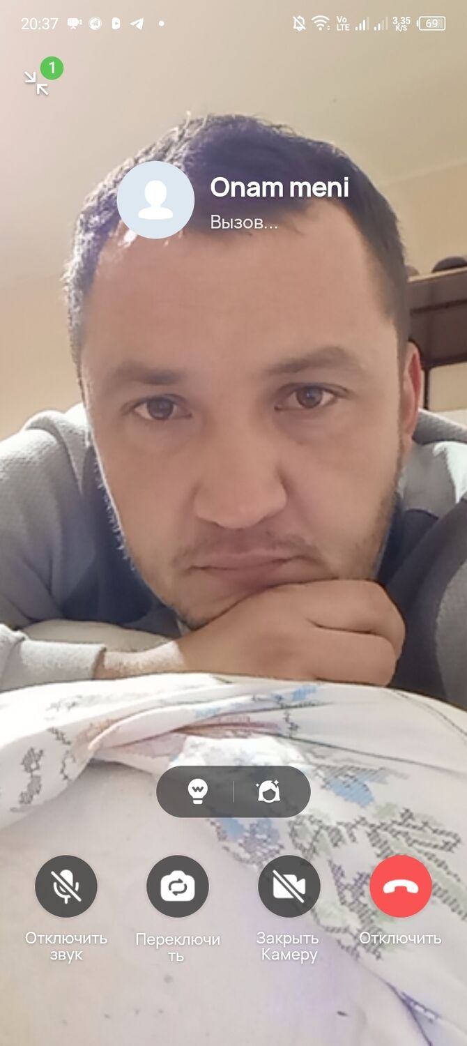  53288437  , 33 ,    