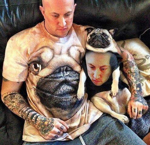 ���� 4008617 ������� Vasile, 41 ���, ���� ���������� � ��������