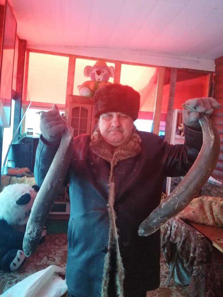 ���������� ������, ���� ������� ��������, 70 ���, ������������ ��� c�������� ���������