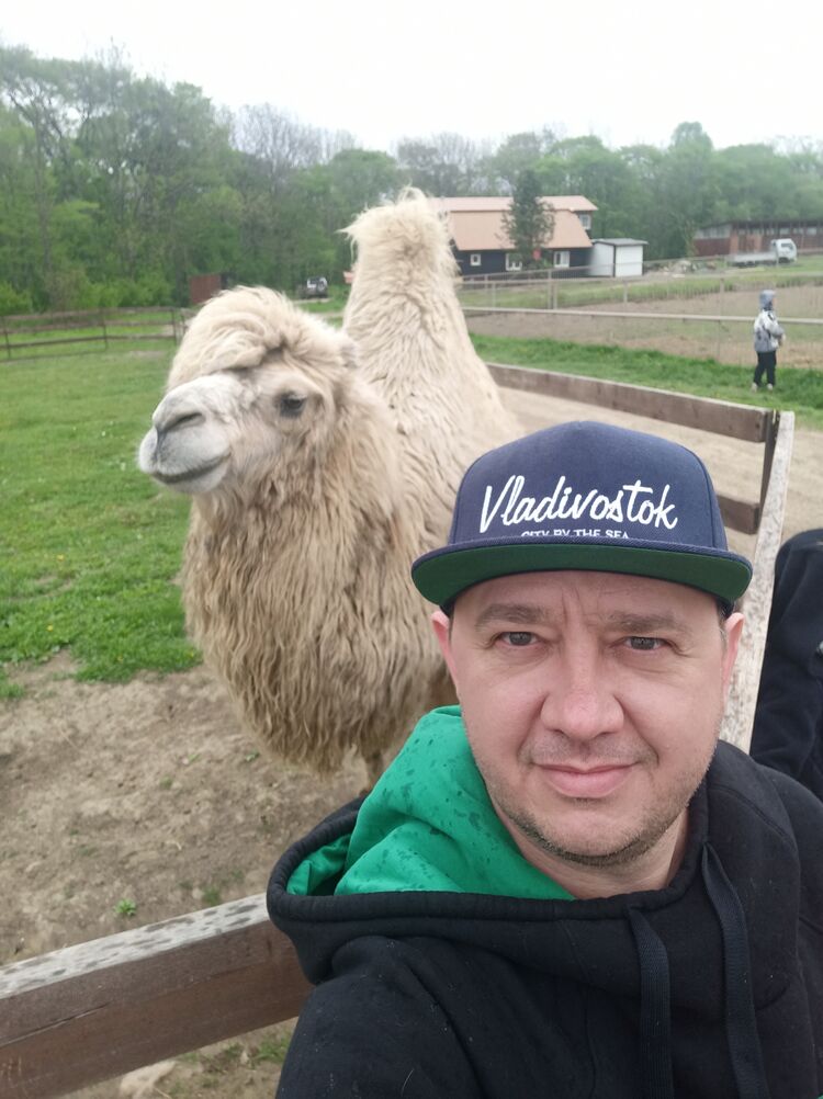 ���� 54833547 ������� A��������, 44 ����, ���� ���������� � ������������