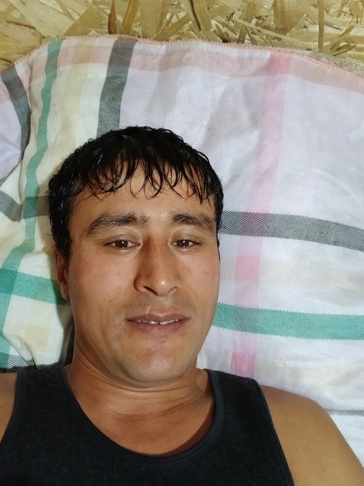 ���������� ������, ���� ������� �������, 37 ���, ������������ ��� c�������� ���������