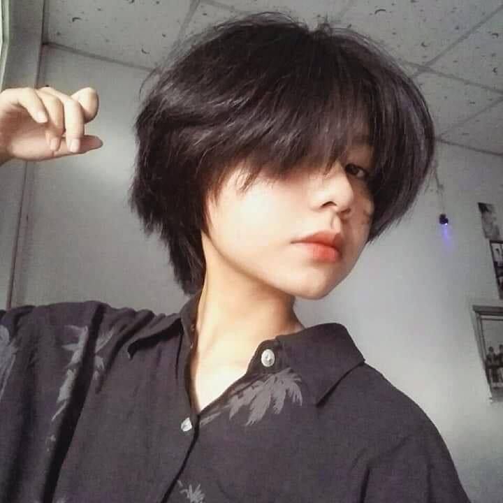 ���� 50305507 ������� Vlastelin, 18 ���, ���� ���������� � ���������