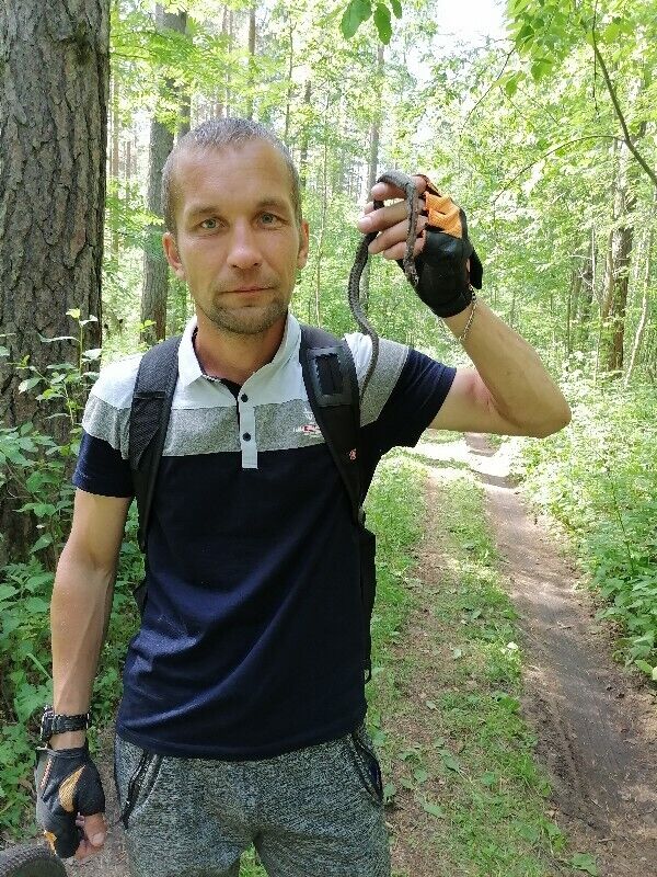 ���������� ���������, ���� ������� ���, 41 ���, ������������ ��� ������, ����� � ���������