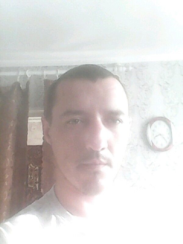  18582217  , 31 ,    