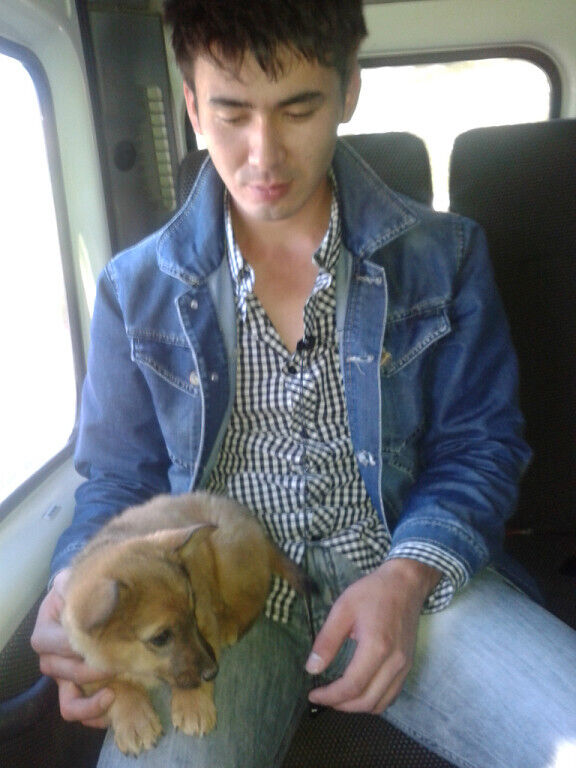 ���� 36814887 ������� ����, 38 ���, ���� ���������� � ���������