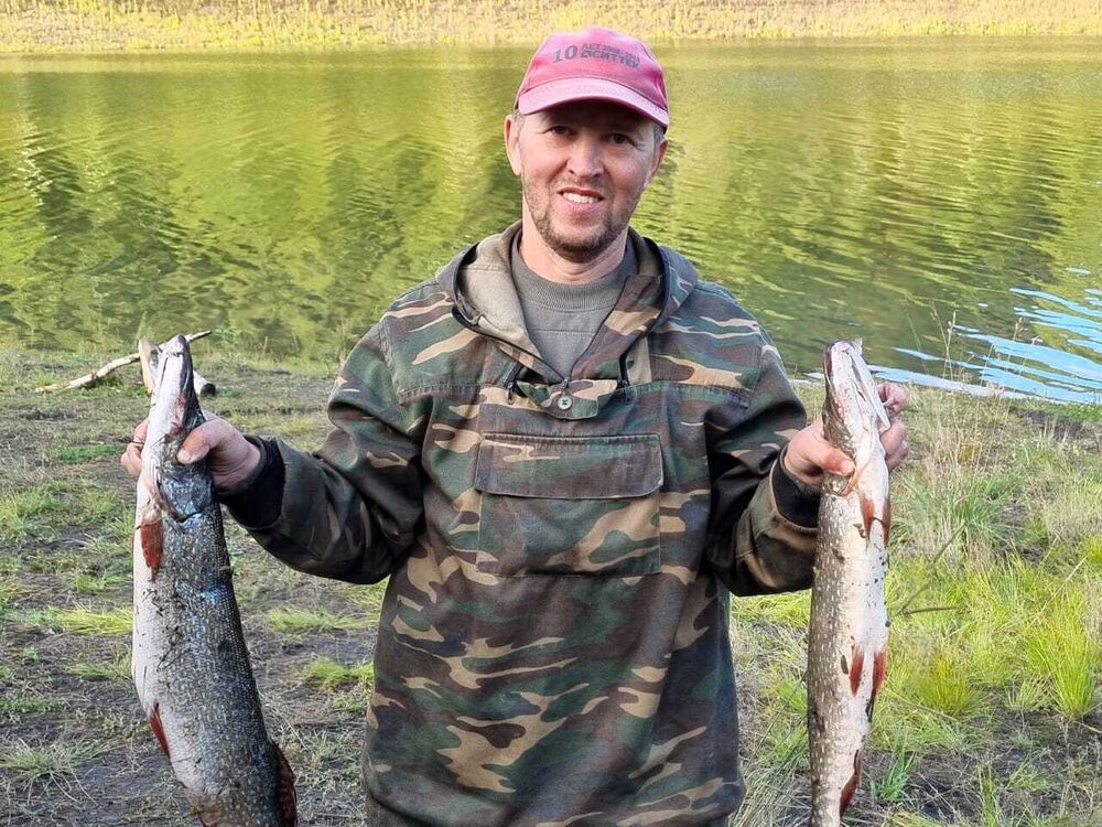 ���������� ����������, ���� ������� ����, 41 ���, ������������ ��� ������, ����� � ���������