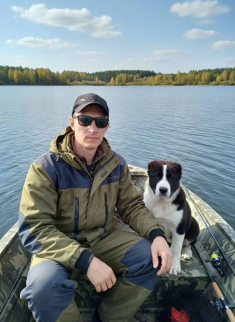 ���������� �����, ���� ������� ����, 43 ����, ������������ ��� ������, ����� � ���������, c�������� ���������, ���������