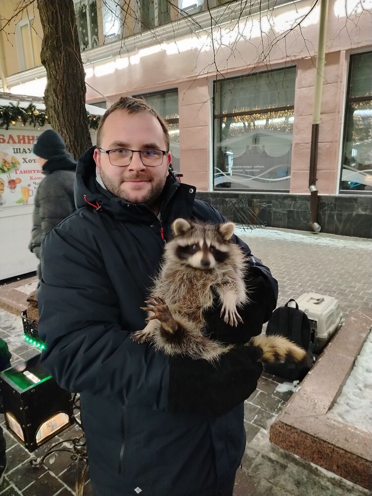 ���������� ������, ���� ������� ���������, 29 ���, ������������ ��� ������, ����� � ���������, c�������� ���������, ���������