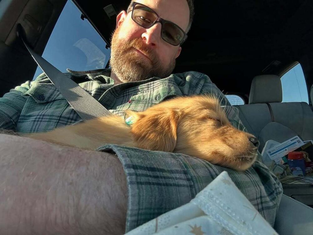  ,   , 42 ,     , c , 