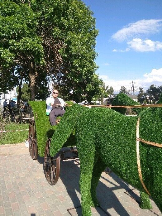 ���������� �������, ���� ������� �������, 39 ���, ������������ ��� ������, ����� � ���������, c�������� ���������