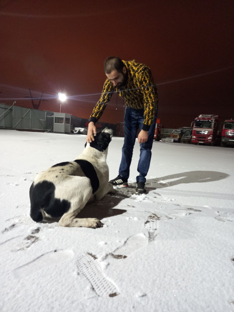 ���������� �����������, ���� ������� Sahak, 31 ���, ������������ ��� ������, ����� � ���������