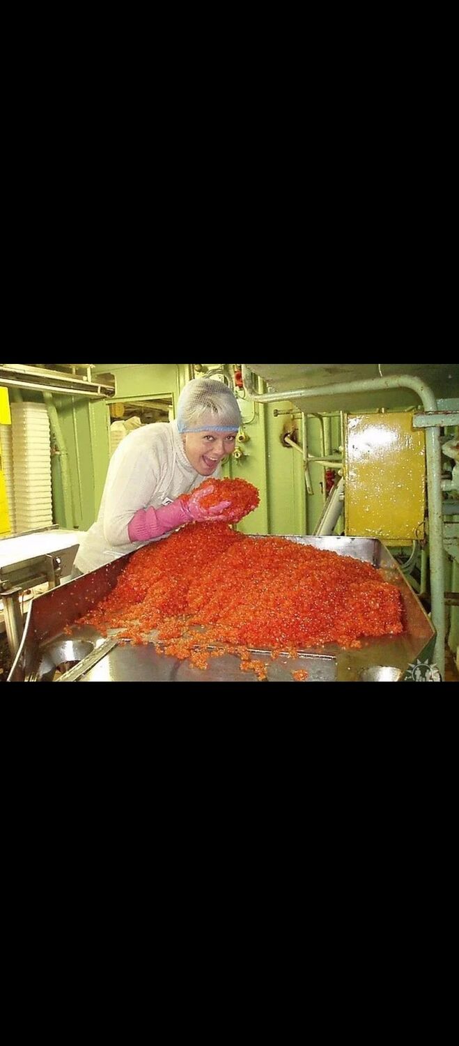 ���������� �����, ���� ������� �����, 41 ���, ������������ ��� ����� � ���������, c�������� ���������