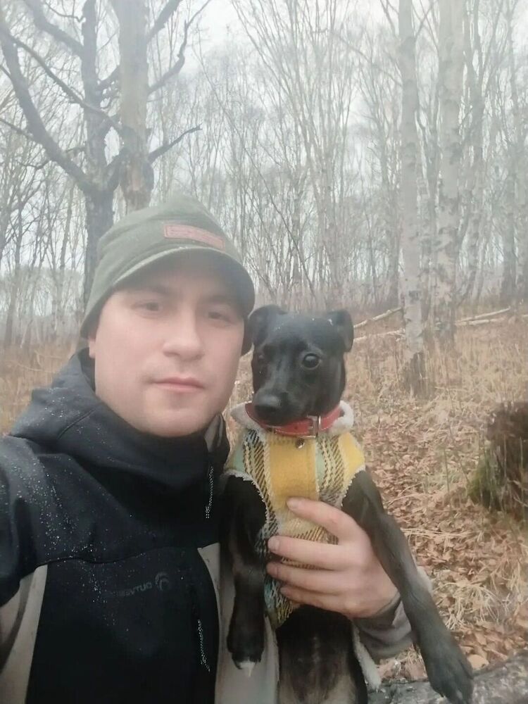 ���������� �������, ���� ������� �������, 33 ����, ������������ ��� ������, ����� � ���������