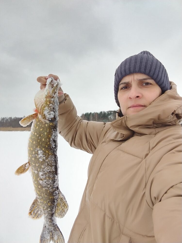 ���� 55783817 ������� �����, 39 ���, ���� ���������� � �������