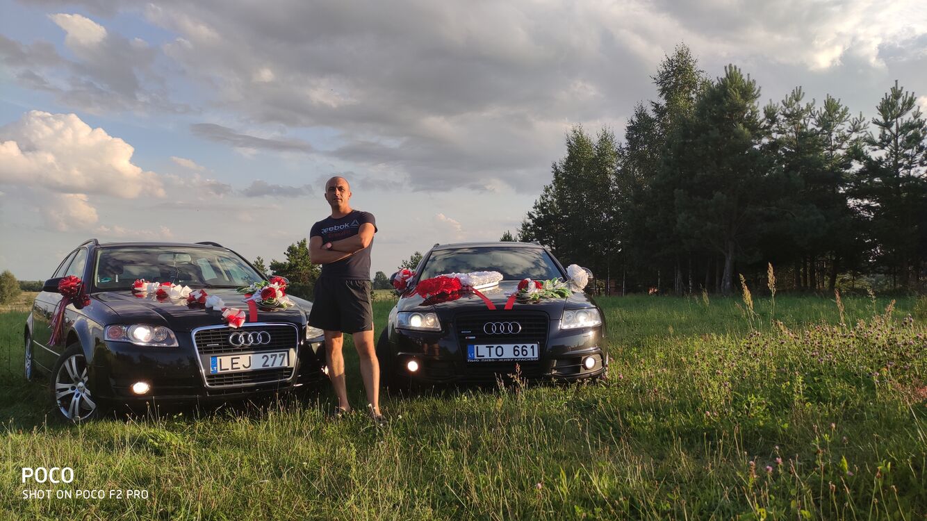 ���� 31956117 ������� ������, 42 ����, ���� ���������� � �����������