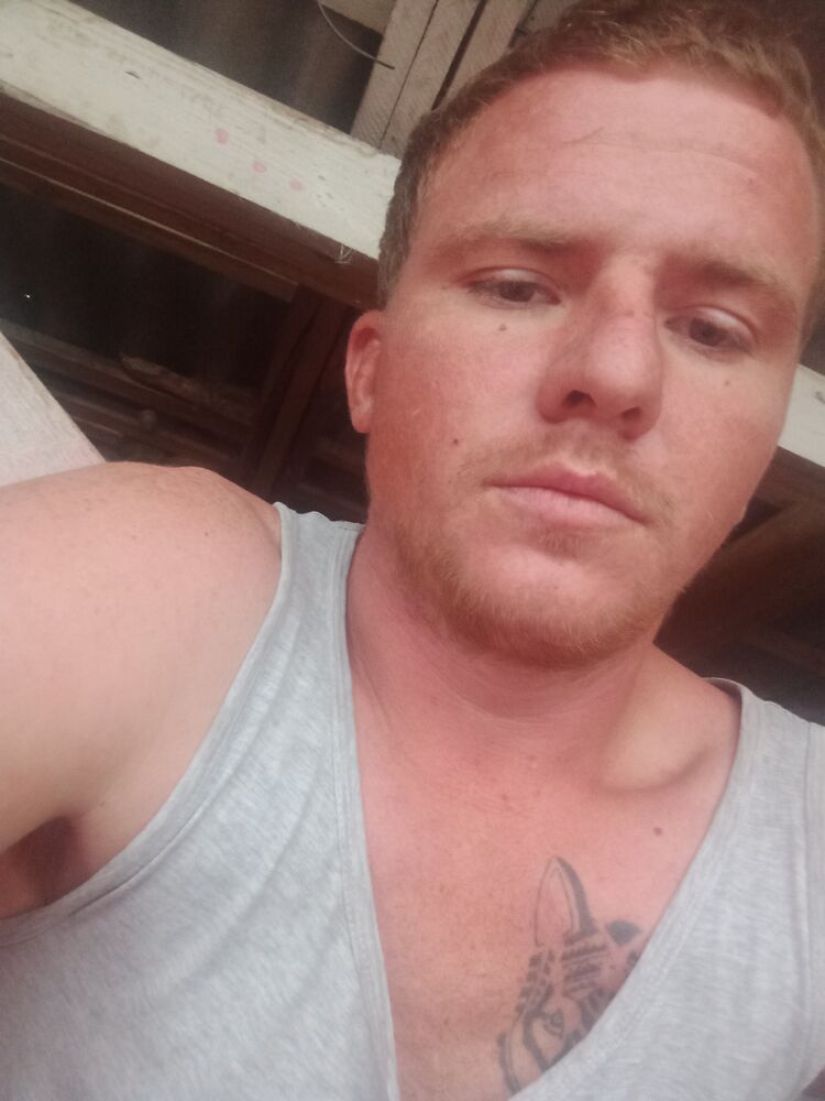  27550627  , 32 ,    