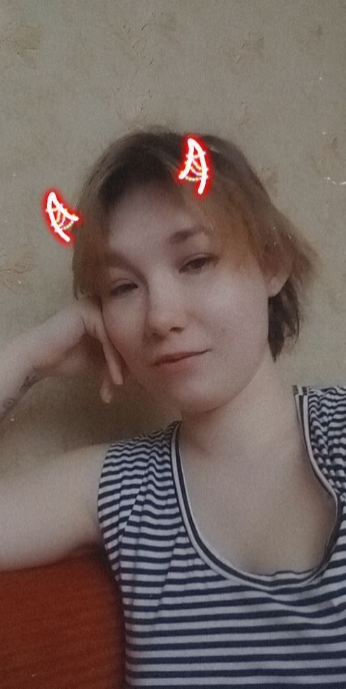  27312297  , 24 ,    